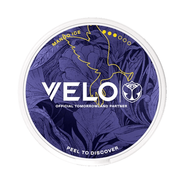 VELO Tomorrowland Limited Edition 2026
